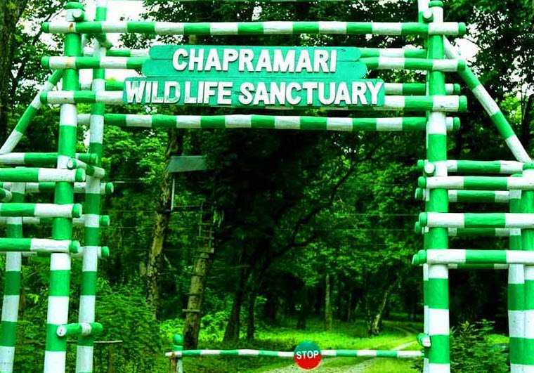 Chapramari Wildlife Sanctuary, Jalpaiguri, West Bengal - Vushii.com Chapramari Wildlife Sanctuary, Jalpaiguri, West Bengal - Vushii.com